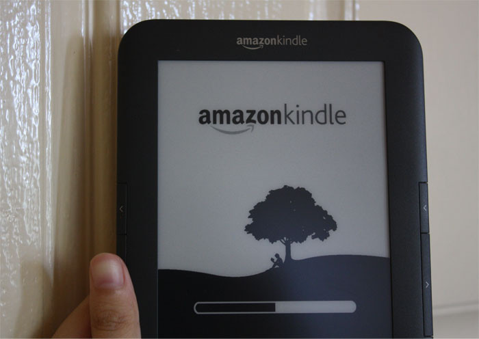 Lisa Kessler, writer and author, expressed her frustrations on Twitter after experiencing Amazon's unfair system that allows consumers to return e-books, resulting in authors owing money.
