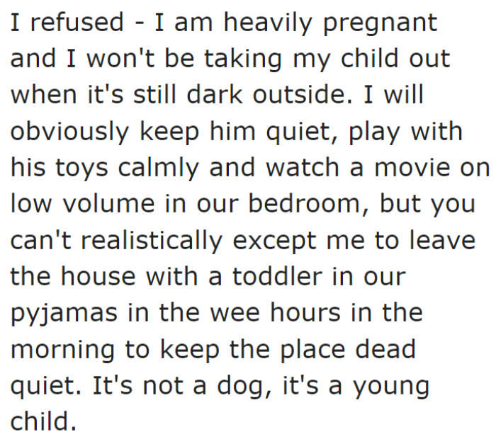 She stated that she refused to leave the house but offered other alternatives for entertaining her toddler while others were sleeping in.