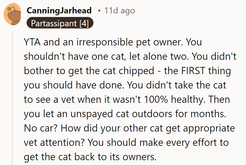 Returning the cat could be the purr-fect redemption.