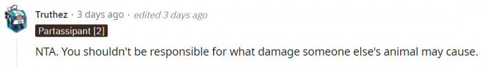 The Owner of the Dog Should Definitely Take Responsibility for Any Damages the Dog Causes
