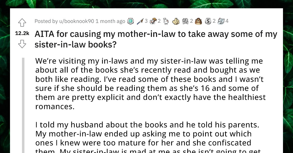Redditor Unintentionally Causes Her Teen Sister-In-Law's Books To Be Confiscated By Mom