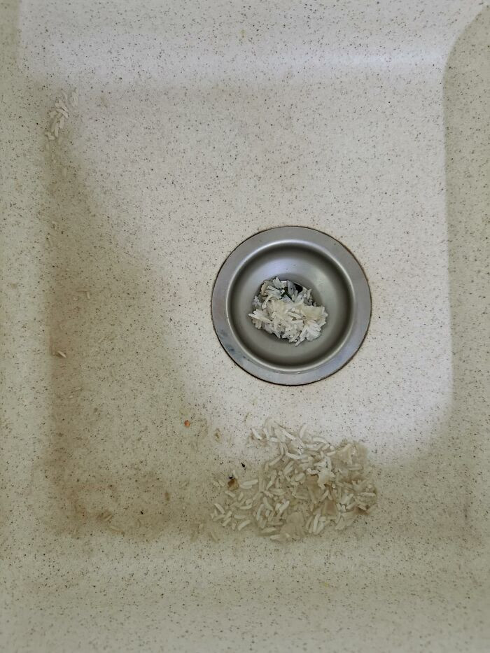 I Also Have An Artist At Home