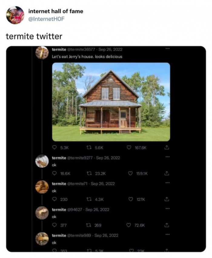 43. The Termites of Twitter