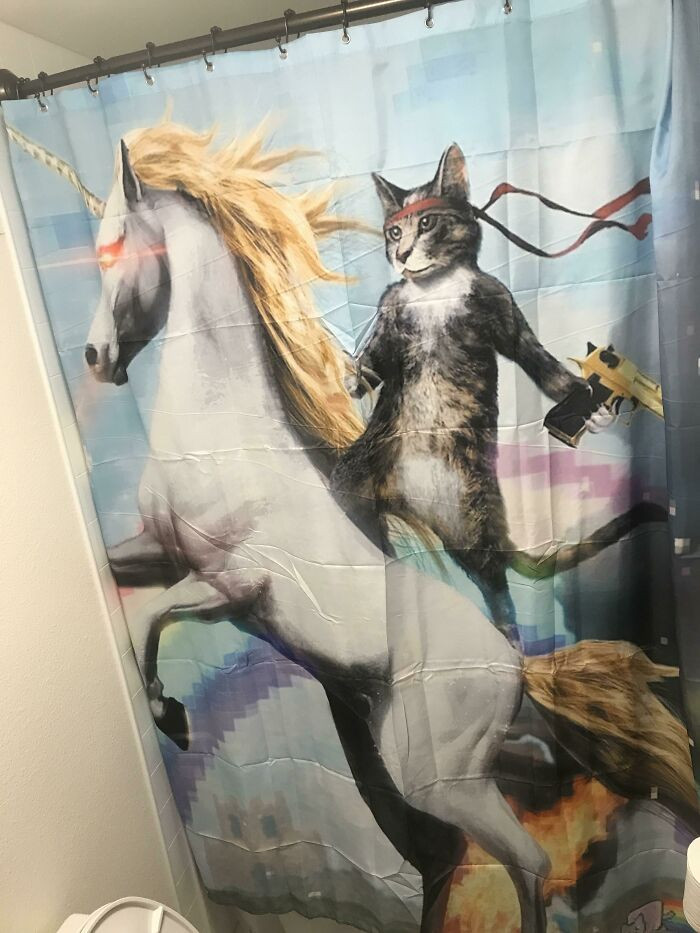 "I Dont Have A Wife Or GF So Im In Charge Of The Shower Curtain... and Sadly Everything Else"