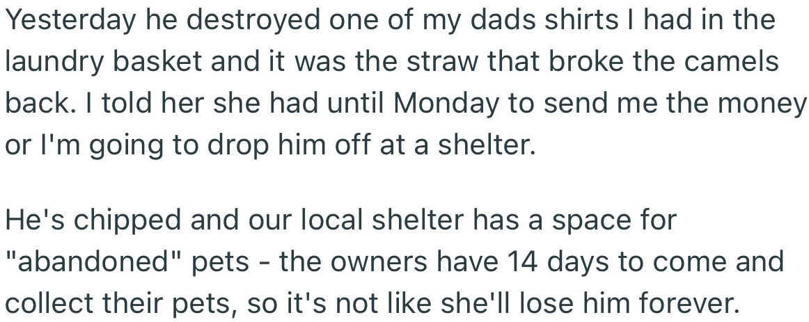 OP got fed up after the dog destroyed one of the shirts in the laundry basket. This time, she threatened to drop off the dog at a shelter if her sister didn’t send the money.