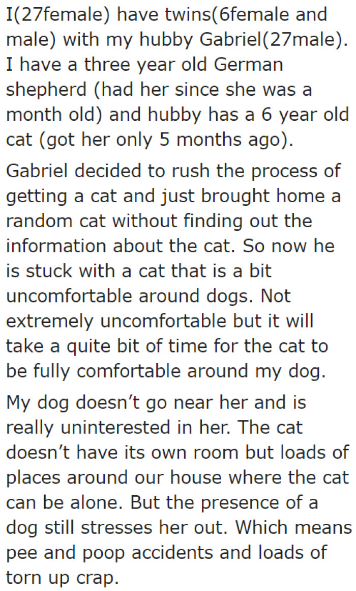 Her husband brought home a cat too soon.