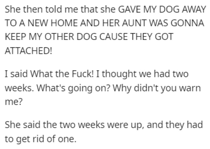 The Friend Told OP That She Gave Away One of Her Dogs and That the Other Was with Their Aunt