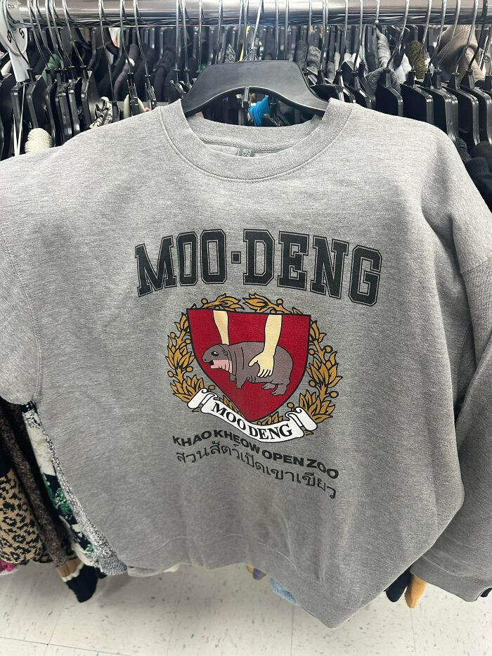 "This Sweatshirt I Found. I Absolutely Bought It"
