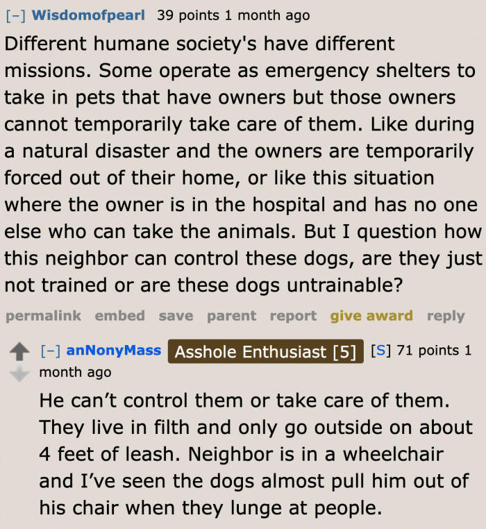 Maybe it's really time for the humane society to step in. The OP's neighbor can't handle his dogs.