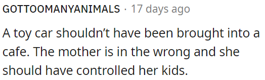 The mother should have prevented her kids from bringing a toy car into the café.