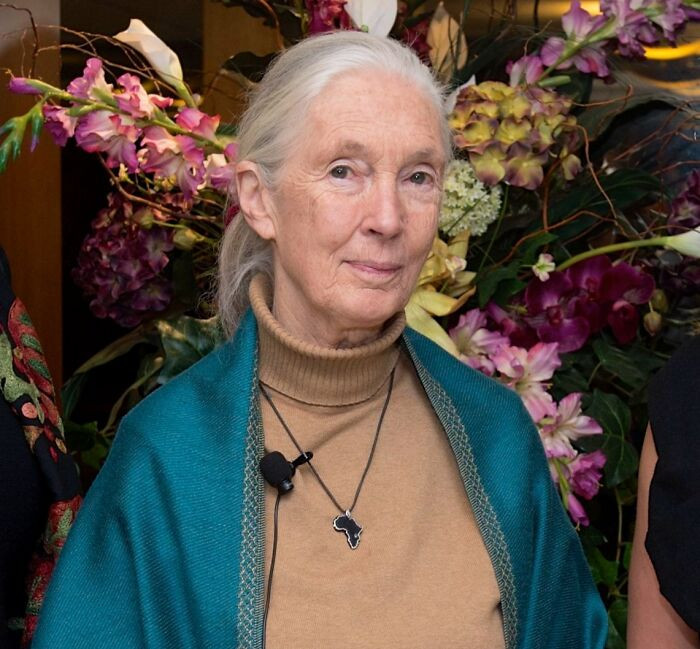 Jane Goodall (Dame Valerie Jane Morris Goodall)