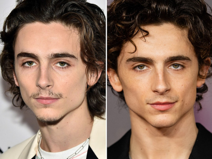 6. Timothée Chalamet