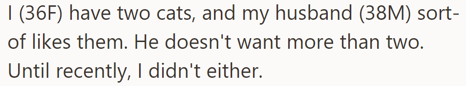 A couple in their thirties has two cats; the husband isn't keen on more. Recently, the wife's stance has shifted.