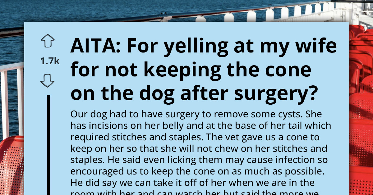 Husband Yells At Wife After Their Dog Reopens Surgery Stitches While Home Alone