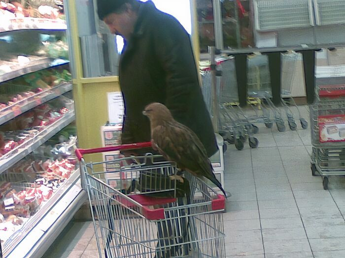 "Just Some Guy Doing Shopping With His Bird"