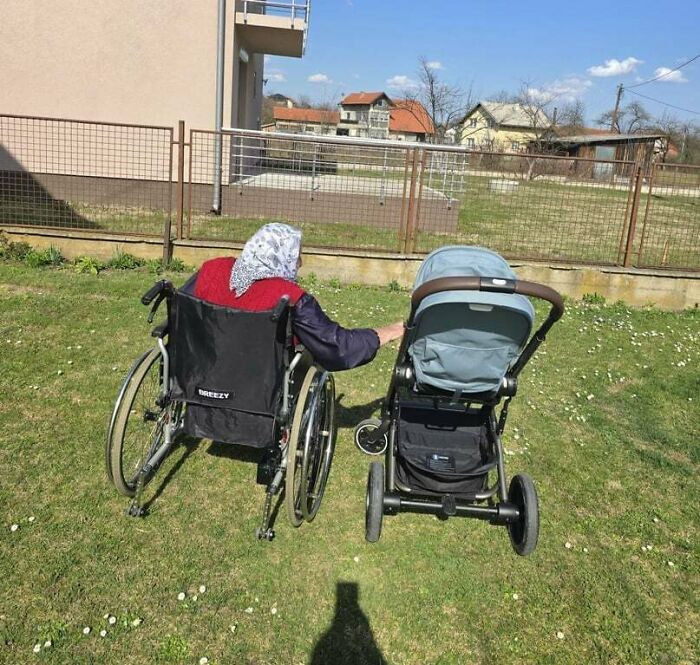 "The Cycle Of Life In One Quiet Moment"