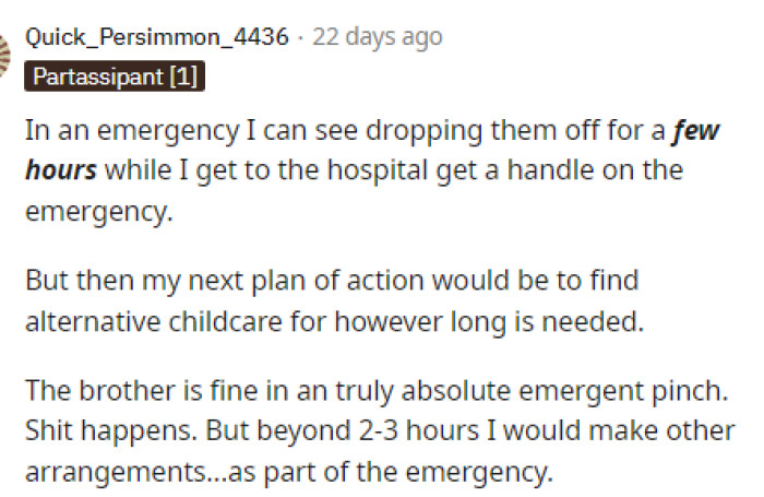 Many People Understand Doing This for a Few Hours or Overnight, but Everyone Agrees That She Should Have Gotten Her Kids by Now, Honestly.