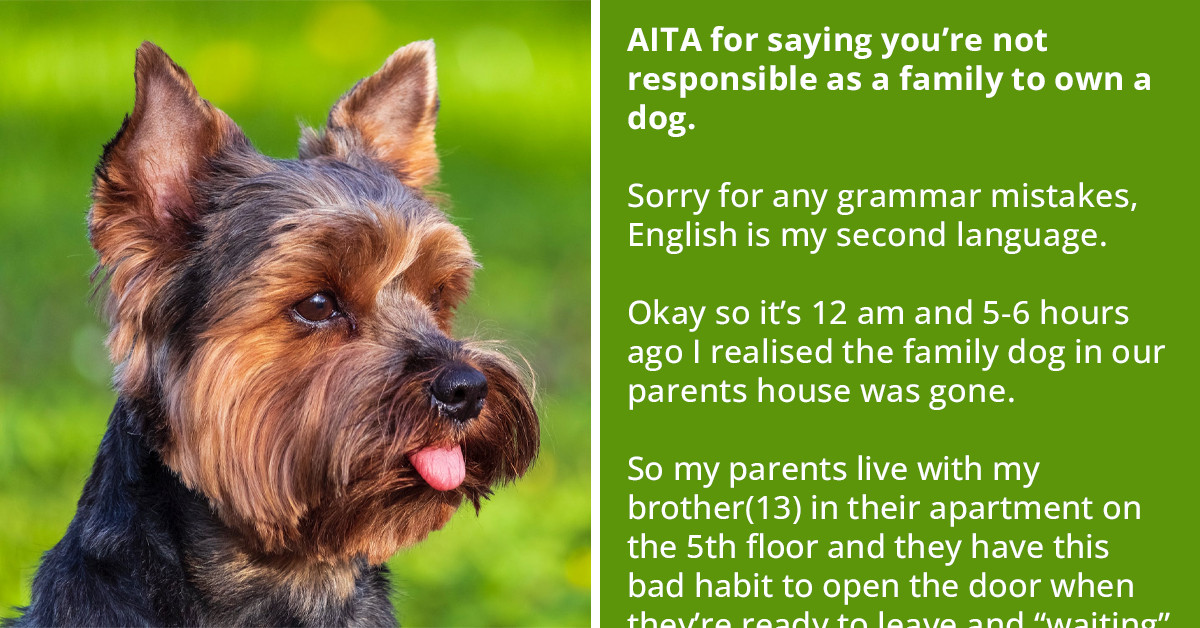 Redditor Tells Their Family That They're Not Responsible Enough To Own A Dog After Losing Their Family Dog