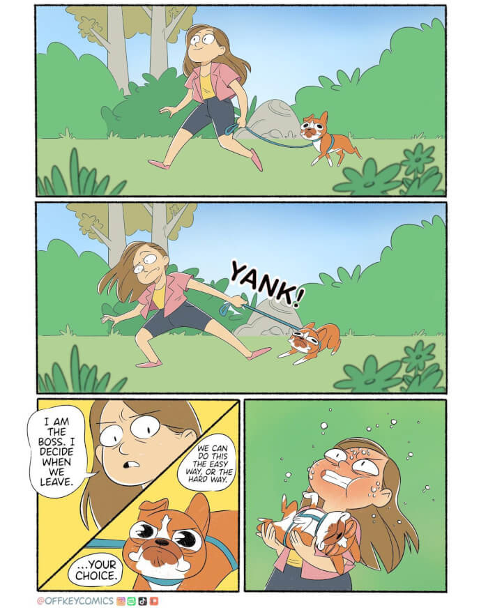 17. Dog.exe has stopped working