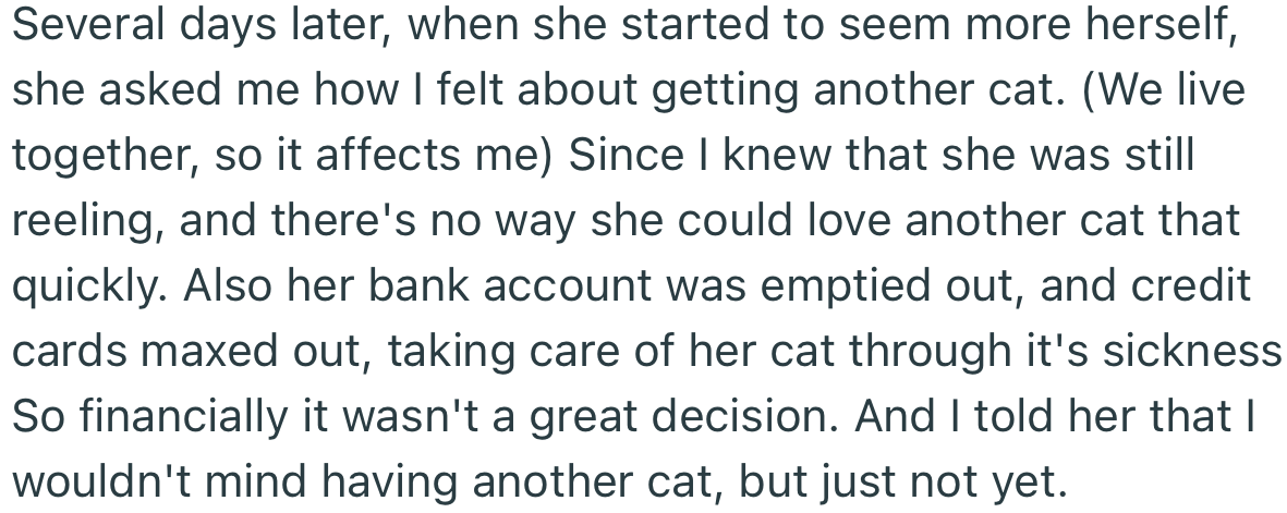 OP’s girlfriend wanted to get a new cat shortly after, but they advised that she wait until their financial situation improved