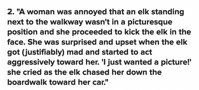 Ma'am, protected wildlife are not props for your photos