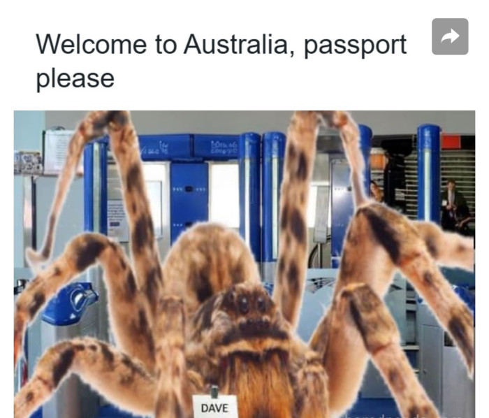 24. Only in Australia