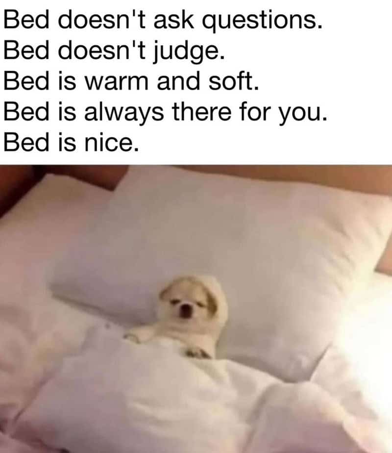 1. Bed is always there for you