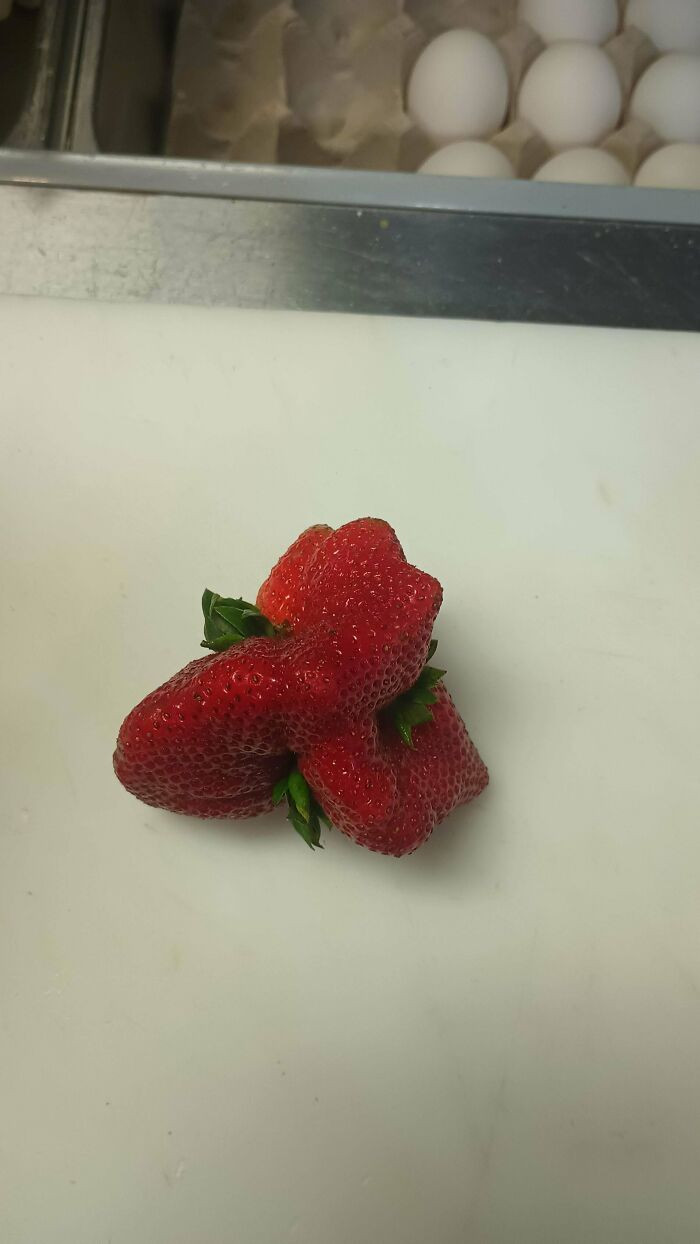 "Strawberry I Found At Work The Other Day!"