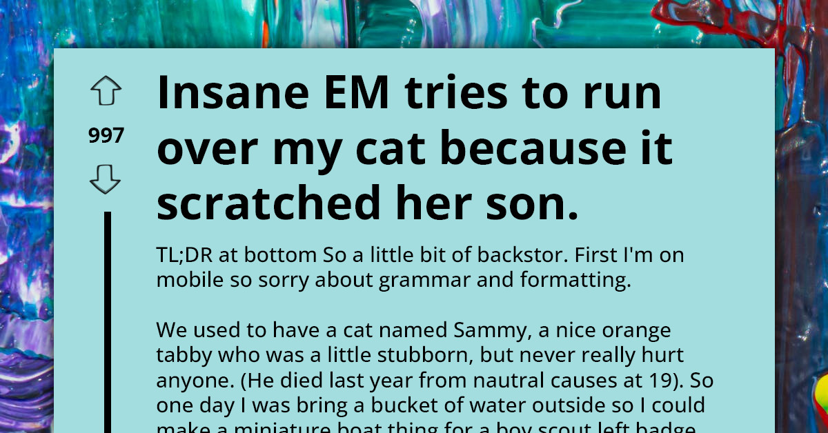 Karen Lady Tries to Run Over Cat After It Scratched Her Kid, Even After Owner Apologizes and Helps Kid