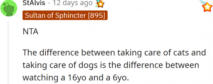 There is a huge difference between watching a dog and watching a cat.