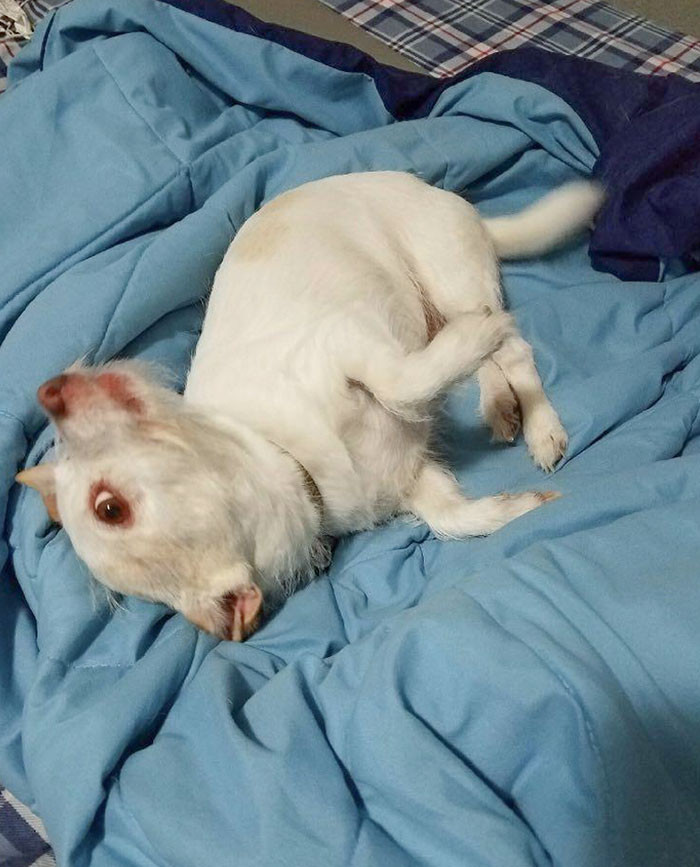 9. Nope, You're Wrong. Look Closer