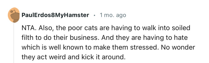 “NTA. Also, the Poor Cats Are Having to Walk into Soiled Filth to Do Their Business.”