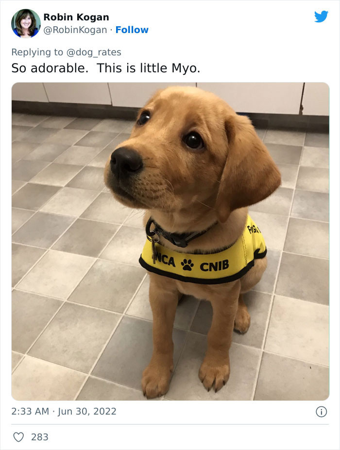 Myo is very adorable