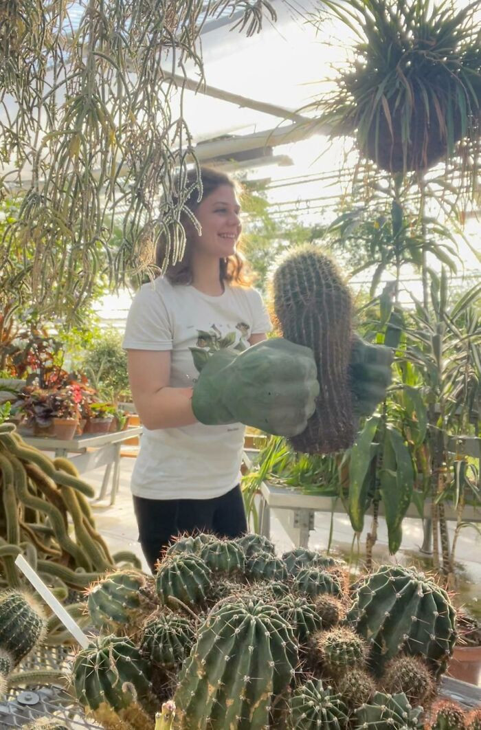 12. We Use Hulk Hands To Move Cacti At My Work