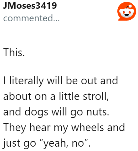 Even dog owners agree that devices and vehicles make their pets go nuts.