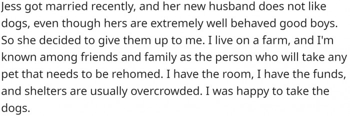 Jess got married, and her husband doesn't like dogs. So, she decided to give them to OP. They have plenty of room and love animals.