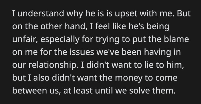 The strain on their relationship long before this upheaval wasn't solely her fault, said OP. Placing the blame on her was unfair, and she genuinely had good reasons to keep her secret for so long.