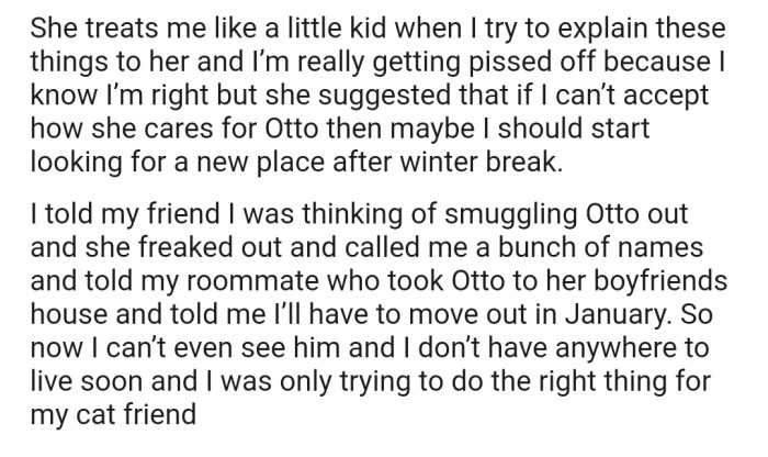 OP's Roommate Has Asked Her to Move Out After She Suggested That She Would Smuggle the Cat Out