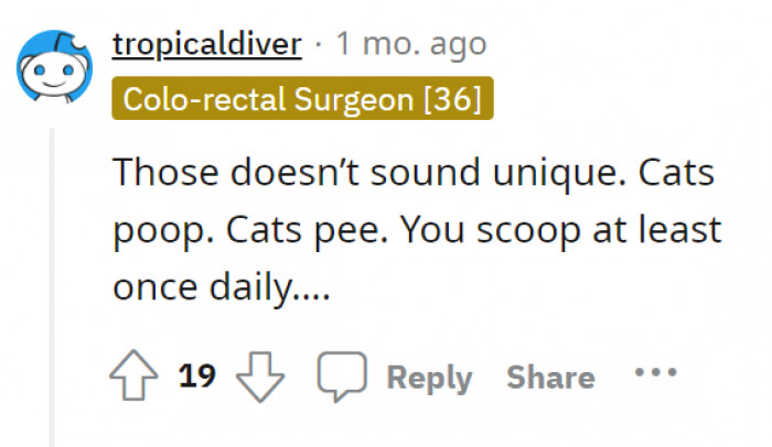 Though cats can poop anytime and as many times as they need to. Right?