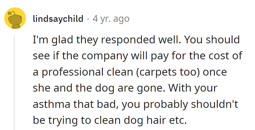 If they foot the bill, she'll gladly watch the dust settle... from a safe distance!