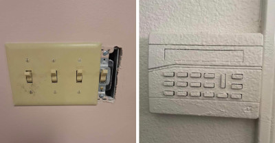 20 Times Employees Mastered The Art Of Minimal Effort