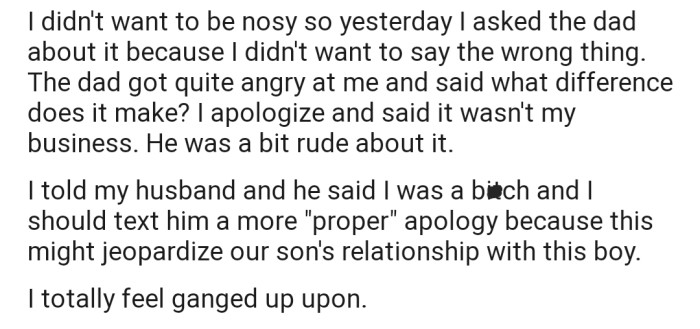 OP Asked the Dad About the Parentage of His Kids. Unfortunately, He Got Quite Upset at the Question and Lashed Out at OP