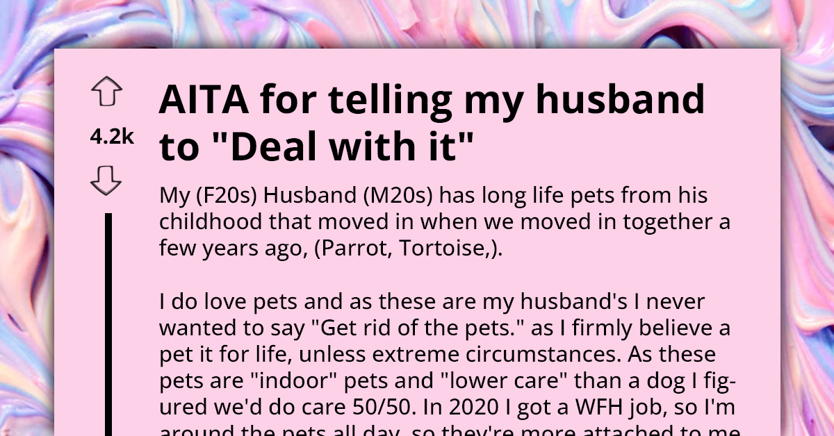 Woman Accused Of Selfishness For Refusing To Adjust Pets' Schedule, Causing Husband To Miss Job Interview, Tells Him To 'Deal With It'