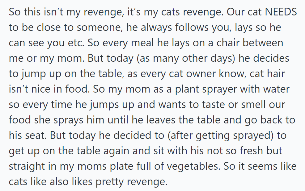 OP's cat seeks closeness during meals but jumps on the table. Despite being sprayed, it retaliates by sitting in OP's mother's plate, hinting at revenge.