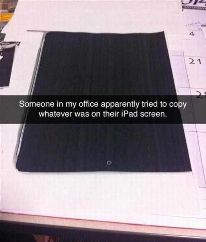 19. How smart they are