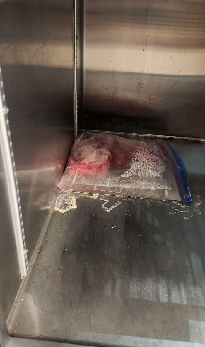 "Someone At My Work Has Left This Bag Of Watermelon In One Of The Fridges For Almost 3 Months"
