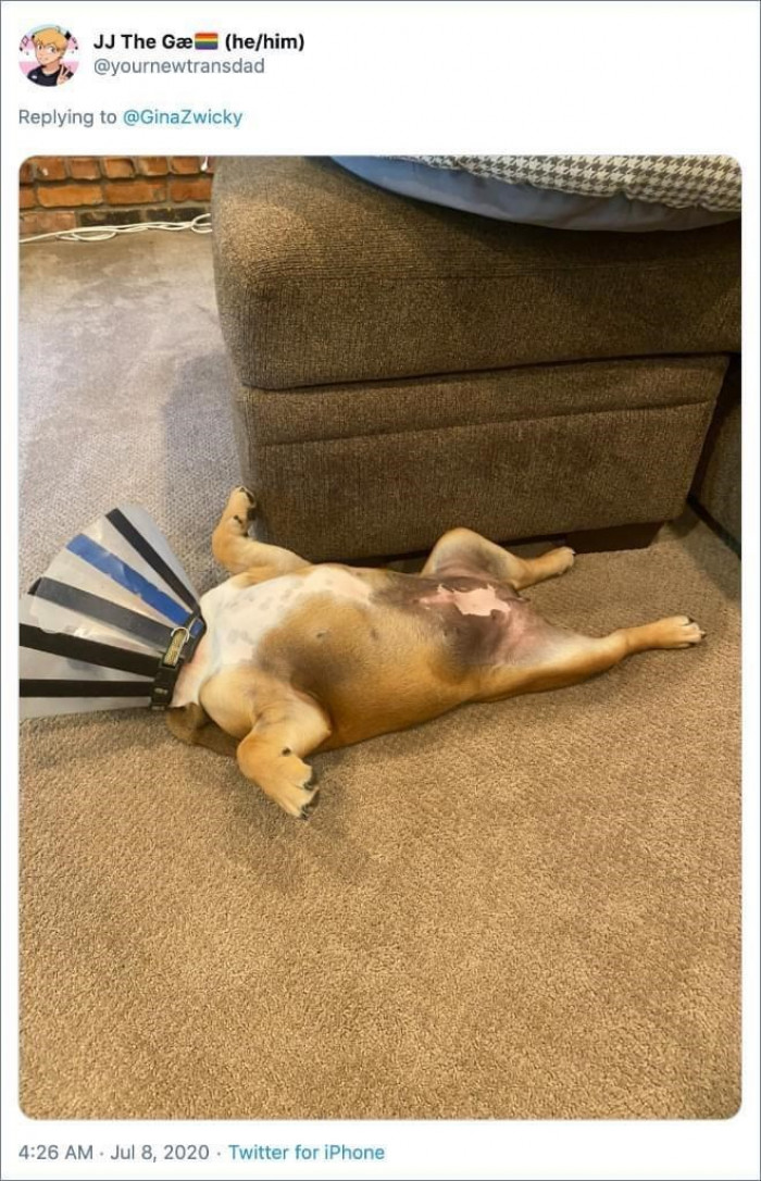12. BELLY UP ALERT: