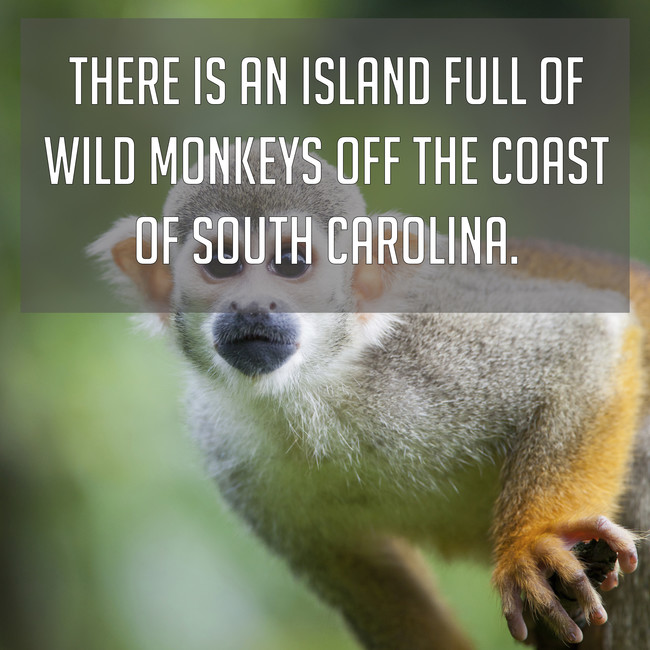 15. Better stay out of that zone