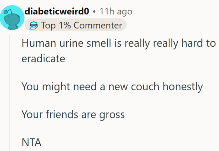 At this point, the couch might need a memorial service, not a cleaning spray.