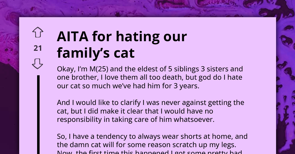 "I Will Feed The Cat, But Refuse To Play With It" - AITA For Not Loving Our Family Cat